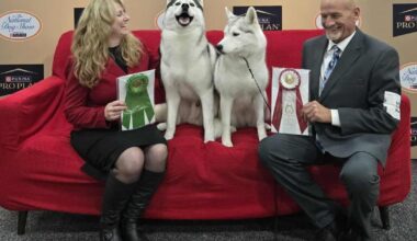 Lancaster Kennel Club members show dogs at national show in Florida; 1 brings home special award | Local News