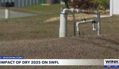 Cape Coral residents face water woes as drought grips Southwest Florida |
