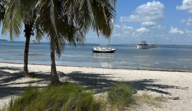 Sunny start to the week on Key Biscayne | Key Biscayne