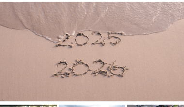 2025 Year in Review: Pinellas County | Beaches
