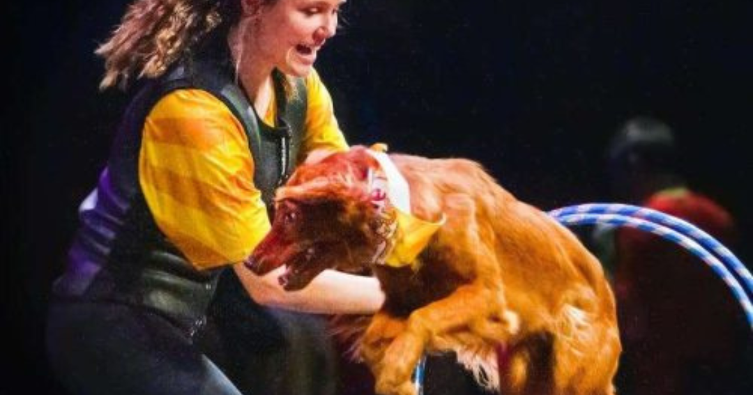 Canine Circus to bring ‘paw-some’ tricks to Largo | Diversions