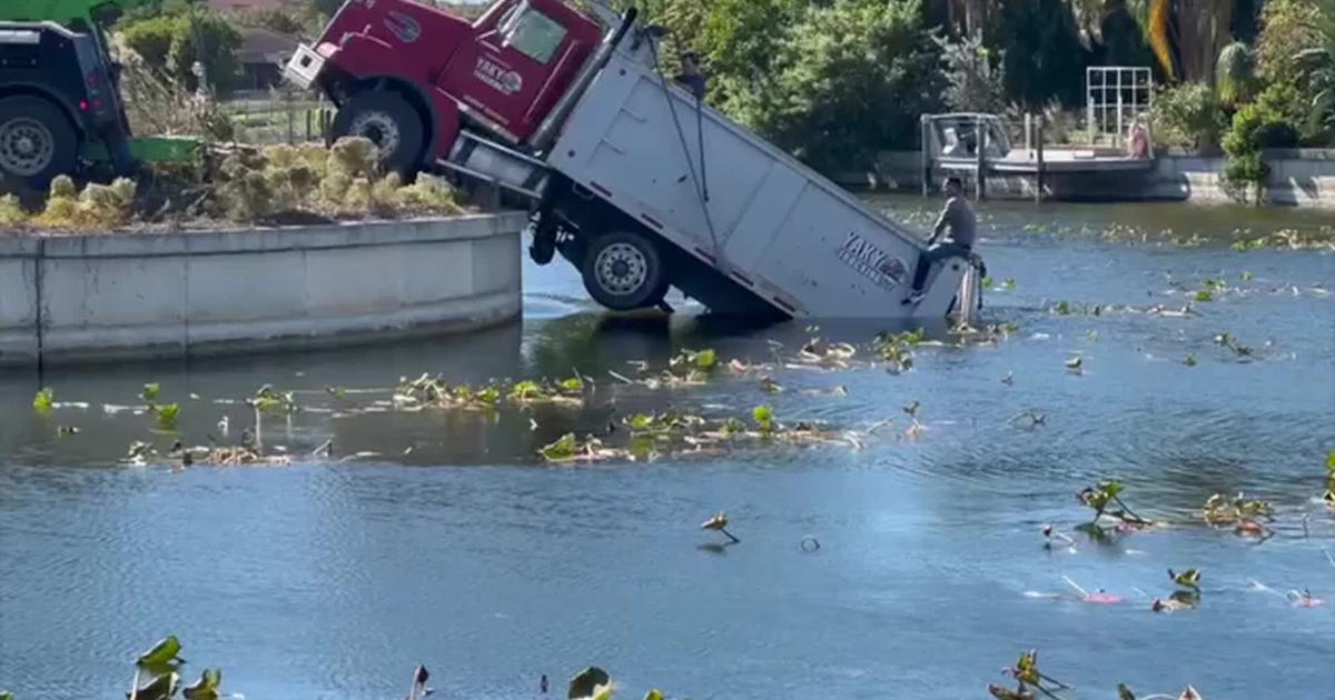 'You don't see this every day': Construction truck falls into Cape Coral canal | National and World News