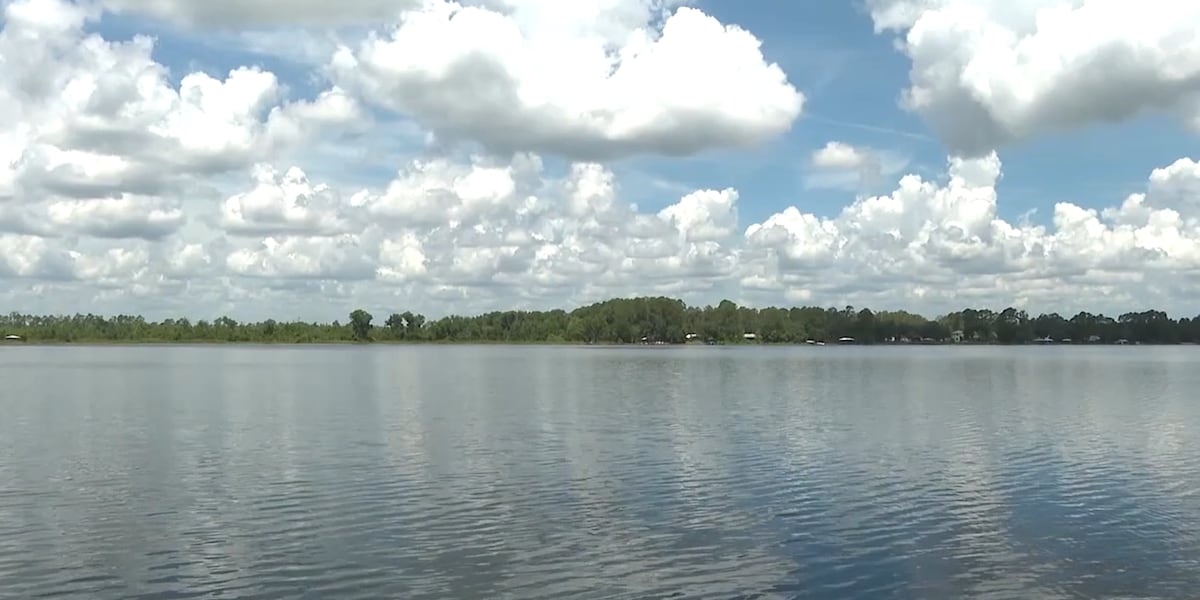 Looking back at top web stories across North Central Florida in 2025