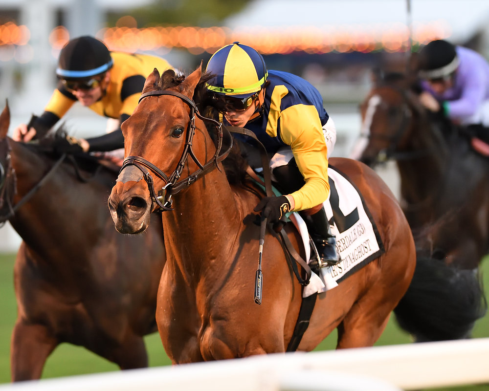 Wolfie’s Dynaghost flew home in the Fort Lauderdale and stamped his ticket to the Pegasus World Cup Turf