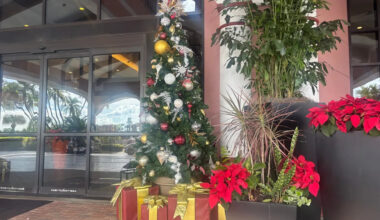 Yahoo lifestyle home