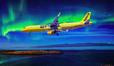 Spirit Airlines Employees Charged With Louis Vuitton Purse Theft At Fort Lauderdale