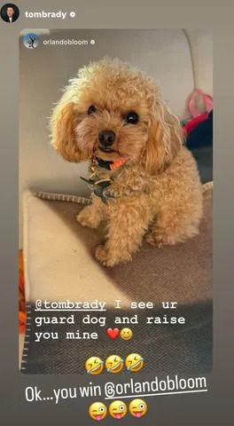Tom Brady/Instagram Tom Brady shares photo of Orlando Bloom's dog