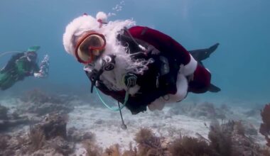 Santa and friends scuba dive off Florida Keys