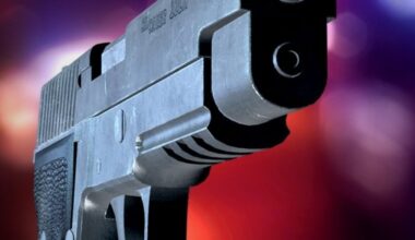 Gun-smuggling ring that sent weapons from Florida to Canada broken up, feds say