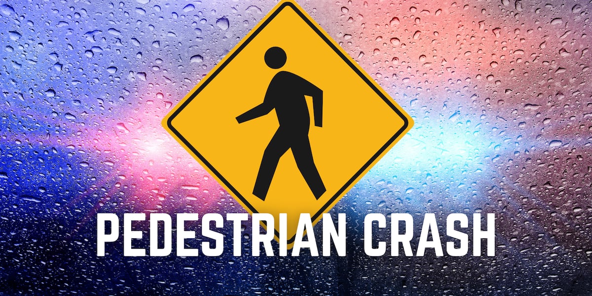 Charlotte County man arrested in Halloween hit-and-run crashes