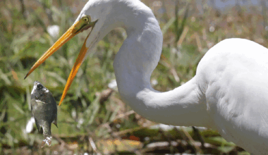 Best feature photos of 2025