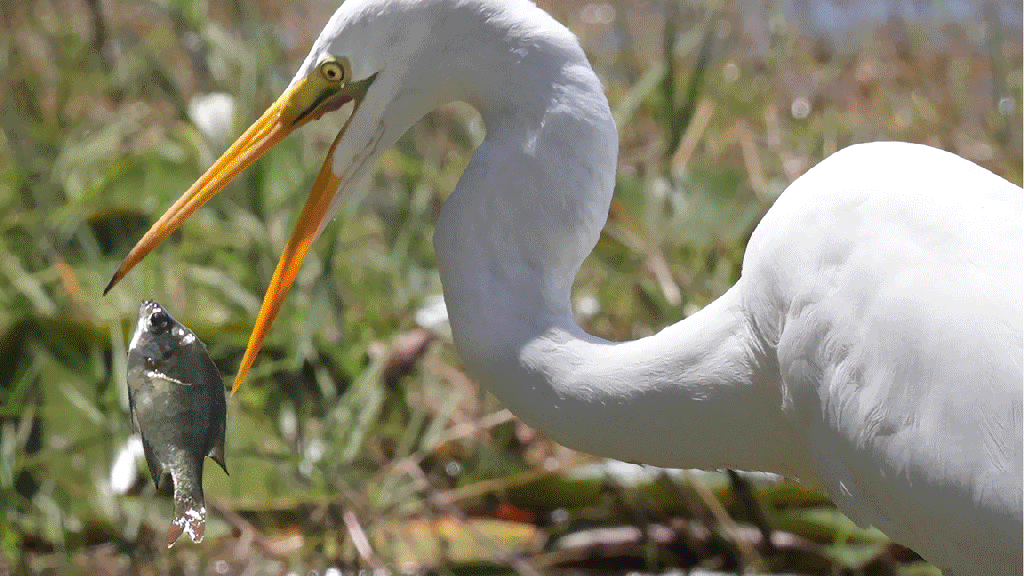 Best feature photos of 2025