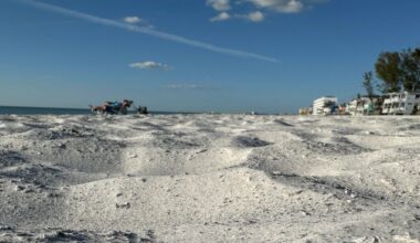 Pinellas County said Sunset Beach in Treasure Island is the last of nine beaches that will get sand through next week as part of its nourishment project. (Spectrum News/Sarah Blazonis)