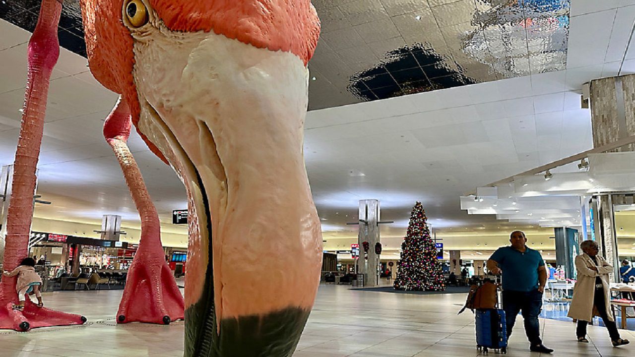 Tampa International Airport is expecting up to 80,000 passengers each day through the end of 2025 (Anthony Sande).