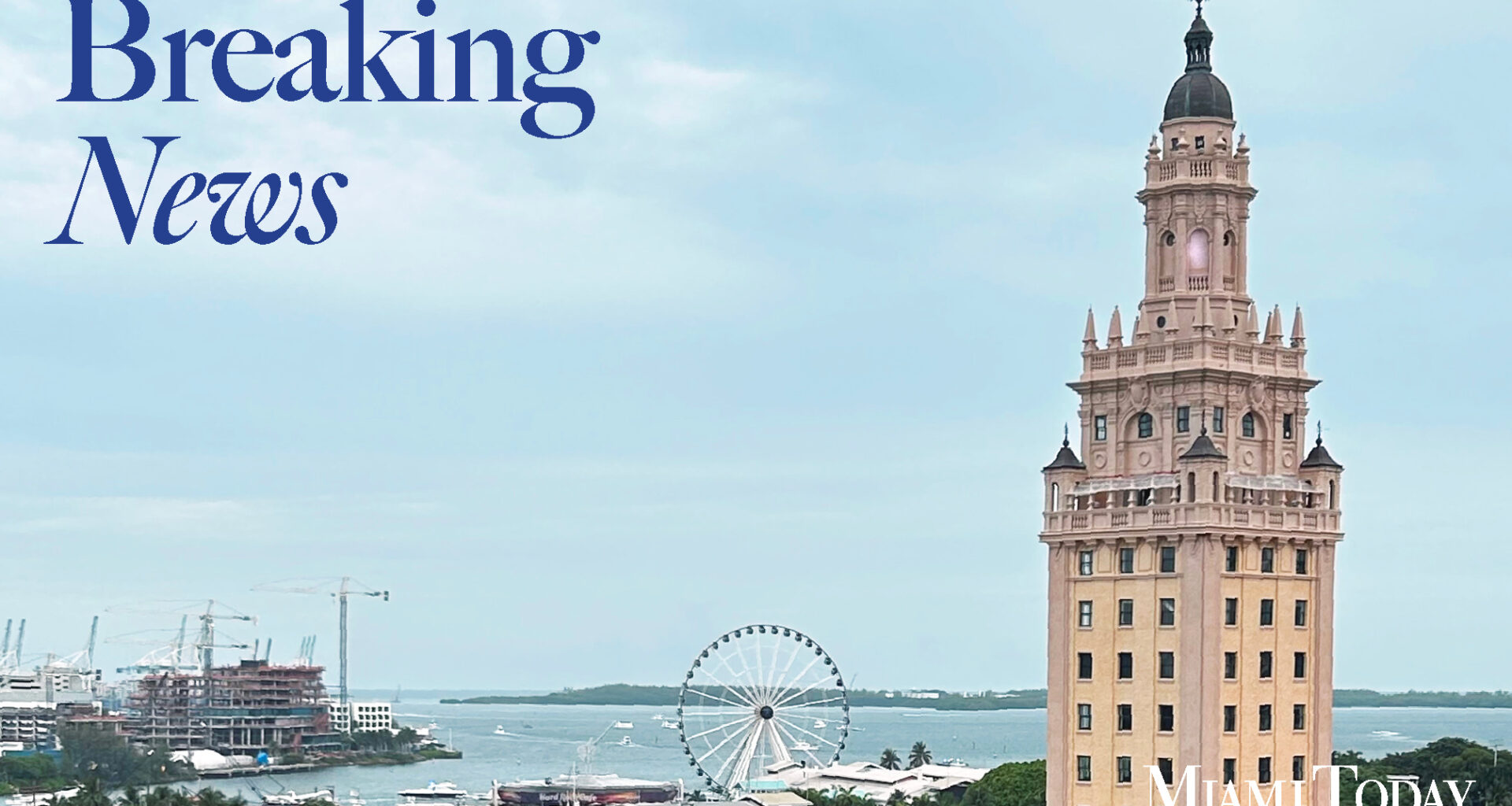 Free water taxis for Art Week may lead to extended use