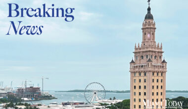 Free water taxis for Art Week may lead to extended use