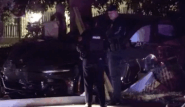 Ferrari crashes into utility pole in Brickell – NBC 6 South Florida