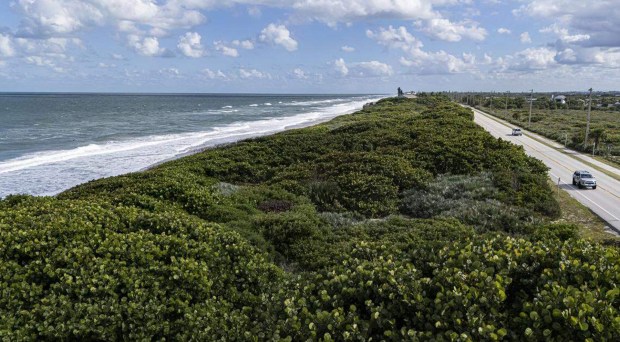 Traveling along Florida State Road A1A near Juan Ponce de LeÃ³n Landing Park in Brevard's barrier island near Melbourne Beach. (Matias J. Ocner/Miami Herald)