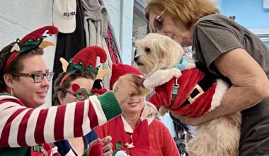 Giving pets a merry Christmas