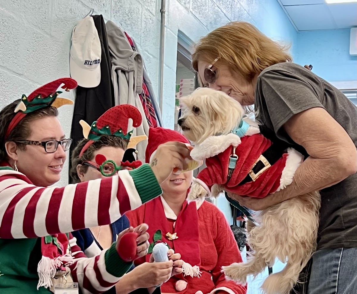 Giving pets a merry Christmas