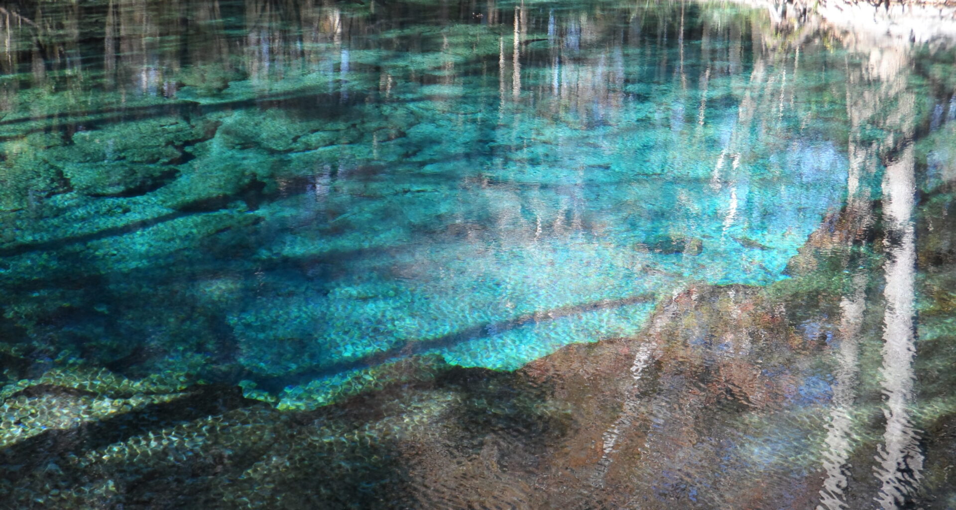 Florida springs and fresh water
