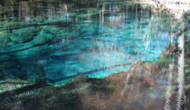 Florida springs and fresh water