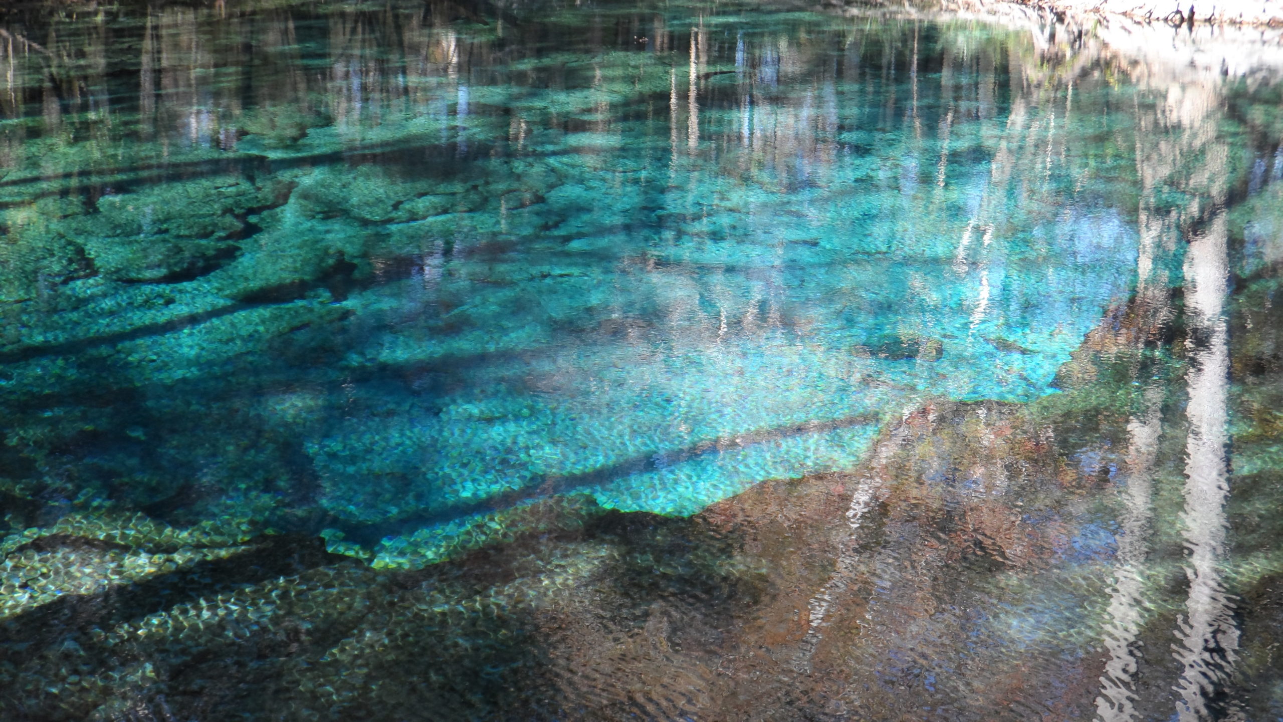 Florida springs and fresh water