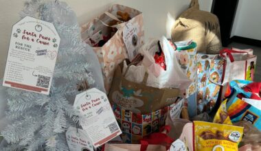 Champs Chance Dog Rescue launches “Santa Paws for a Cause” holiday donation drive