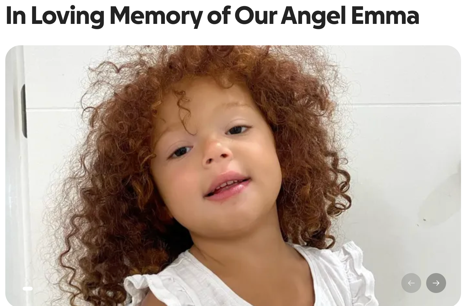 Emma Riddle, 6, was killed in a go-karting crash over the weekend at a Florida amusement park, according to reports