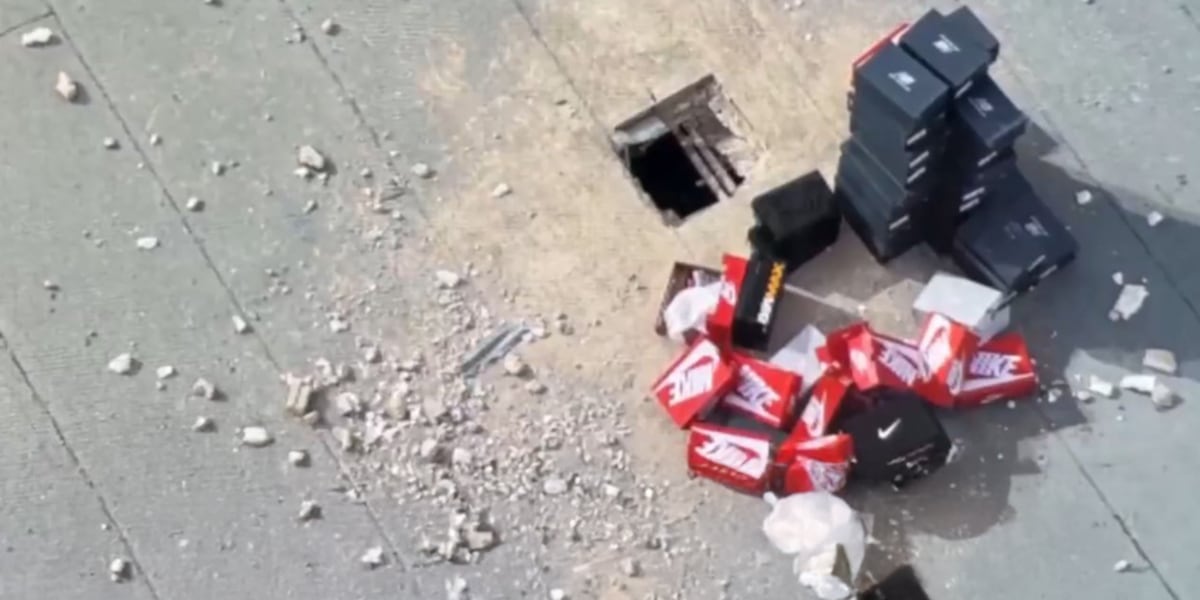 Tampa sneaker heist crew arrested after Wawa energy drink stop