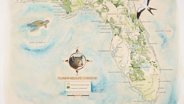 A colorful, hand-painted map showing the entire state of Florida with coastal regions in blue and green land masses marked with areas of protected lands. A compass rose featuring a bear's head is centered on the Gulf of Mexico side.