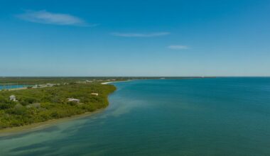 Taste Of The North Festival Ignites Florida’s Waterfront With A Dazzling Holiday Beach Spectacle