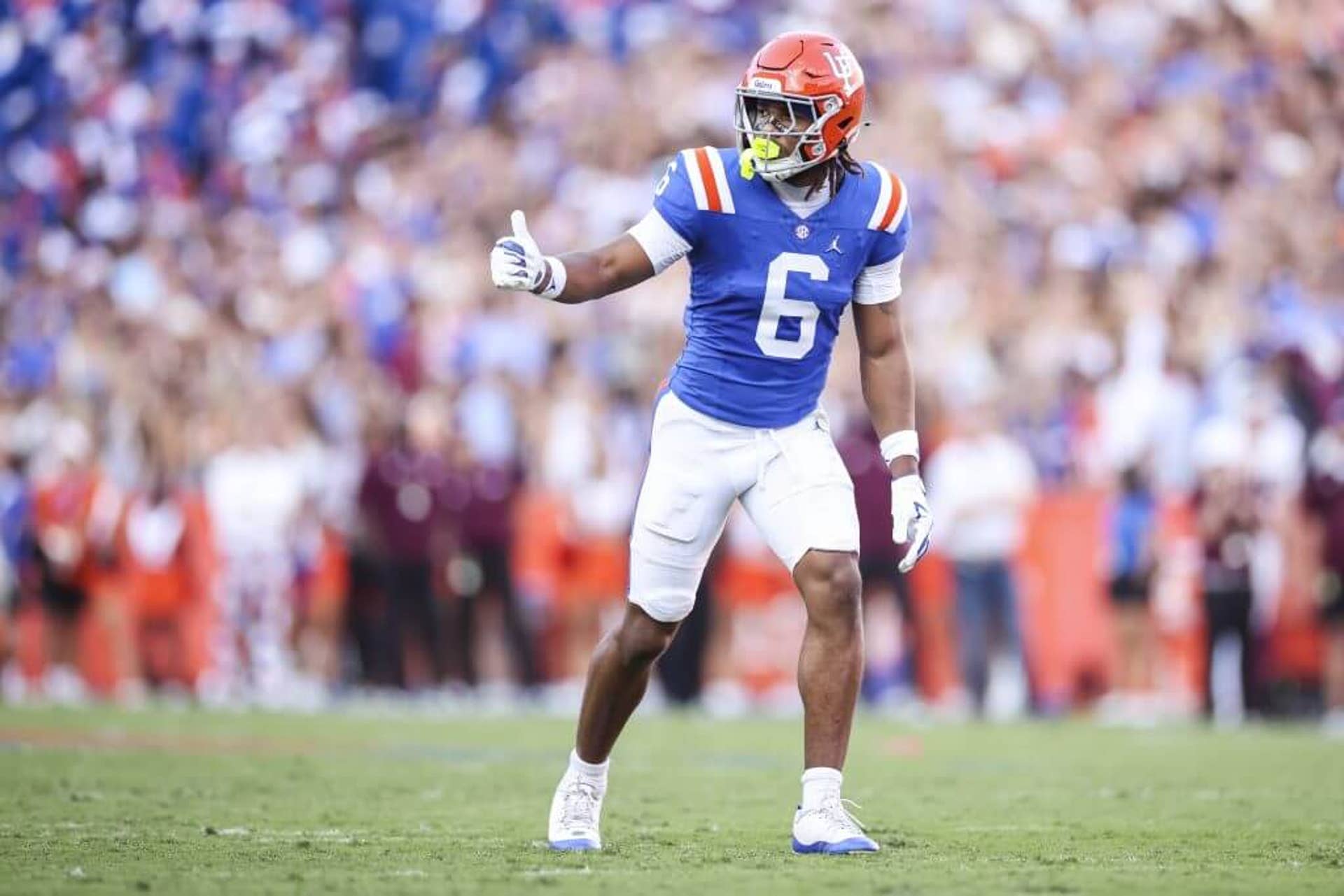 Dallas Wilson #6 of the Florida Gators looks on during the first half of a game against the Mississippi State Bulldogs