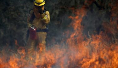 Florida Forest Service warns about wildfires in “driest winter” – NBC 6 South Florida