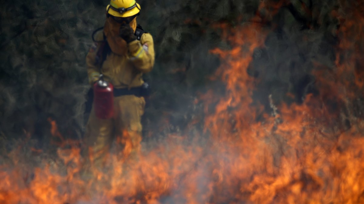 Florida Forest Service warns about wildfires in “driest winter” – NBC 6 South Florida