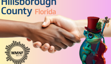 Hillsborough County Arts Council Funds Tropical Heatwave