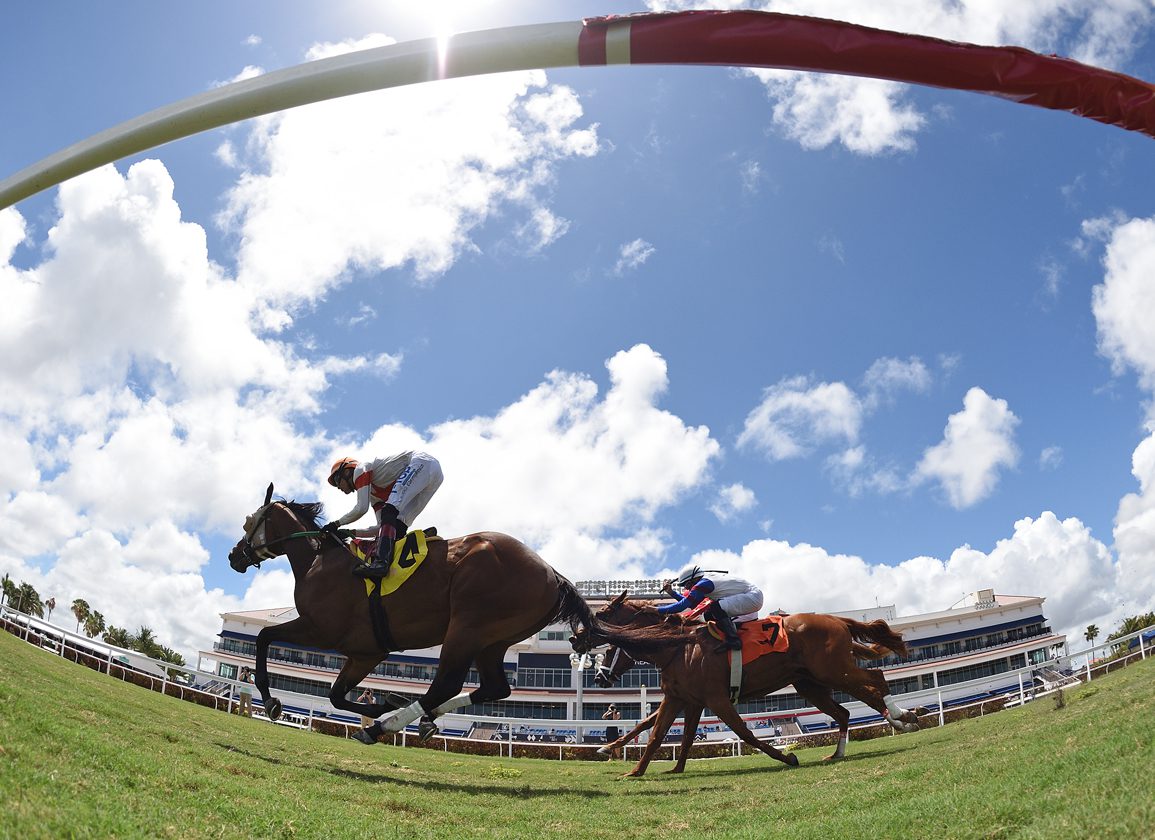 Florida Decoupling Bill Filed For 2026 Legislative Session