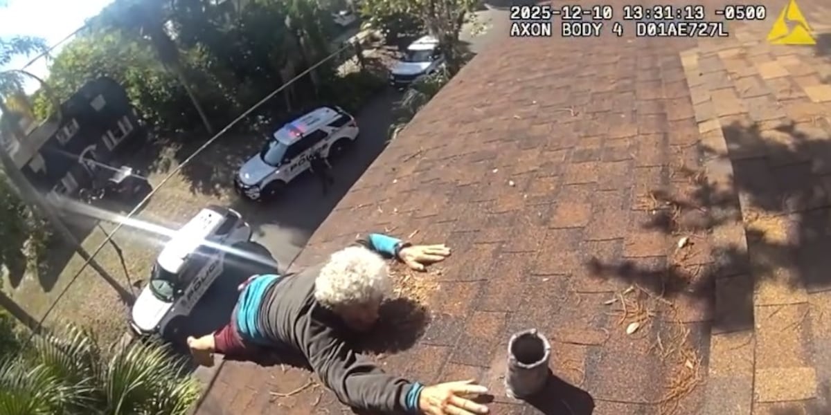 Tampa officers rescue elderly man dangling from roof