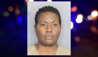 Spirit Airlines Employees From Tamarac Charged in Theft of Passenger's Louis Vuitton Purse • Tamarac Talk