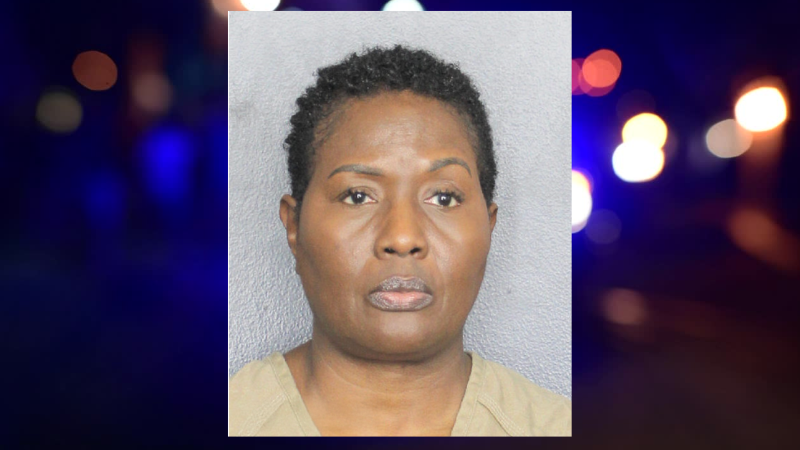 Spirit Airlines Employees From Tamarac Charged in Theft of Passenger's Louis Vuitton Purse • Tamarac Talk