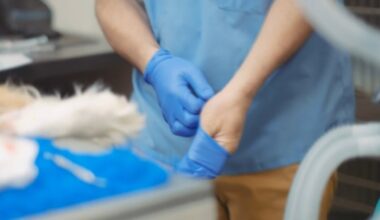 Florida bill would require vets to report suspected animal cruelty