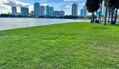 The sod removal from Vinoy Park began in June, a total of four waterfront parks were damaged by Hurricanes Idalia and Helene. (Spectrum News/Josh Rojas)