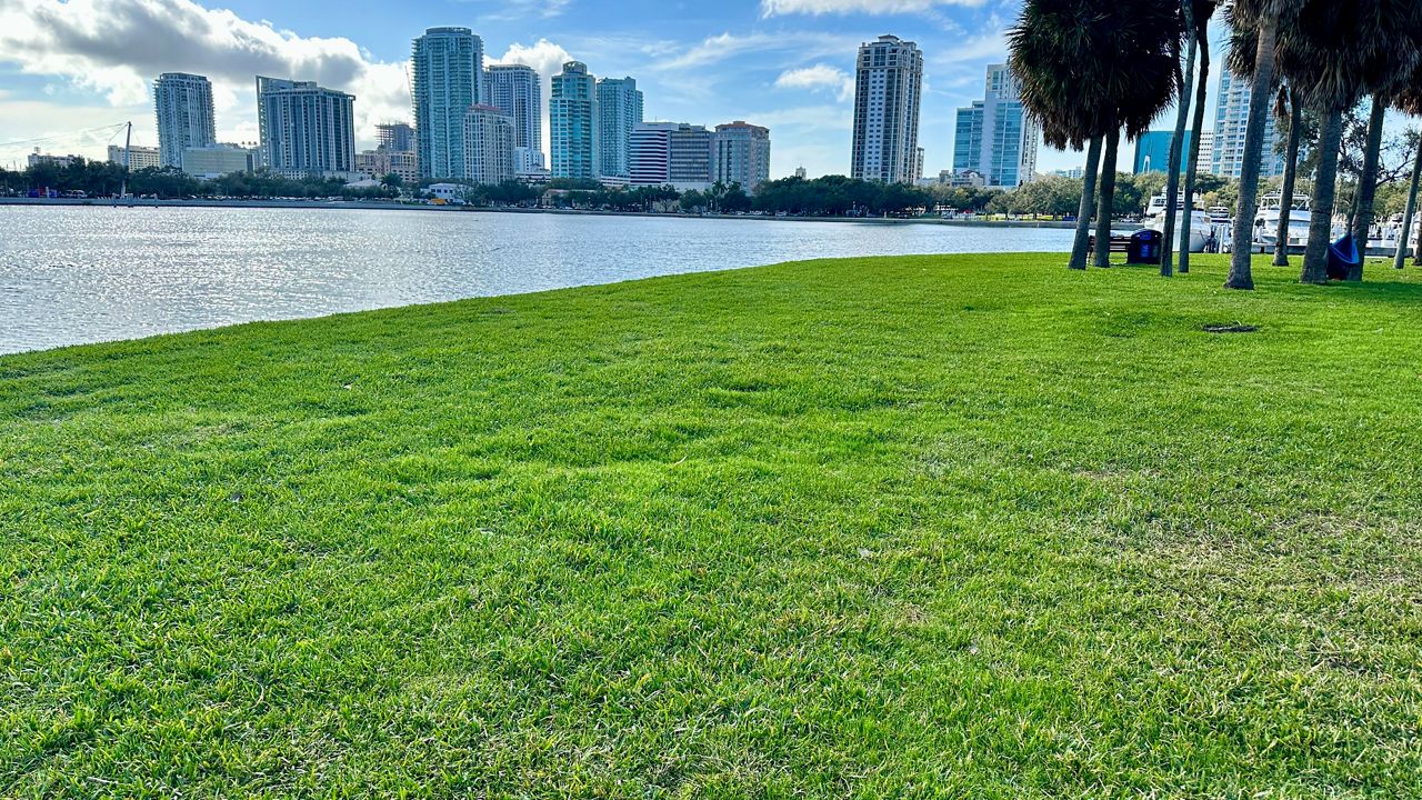 The sod removal from Vinoy Park began in June, a total of four waterfront parks were damaged by Hurricanes Idalia and Helene. (Spectrum News/Josh Rojas)