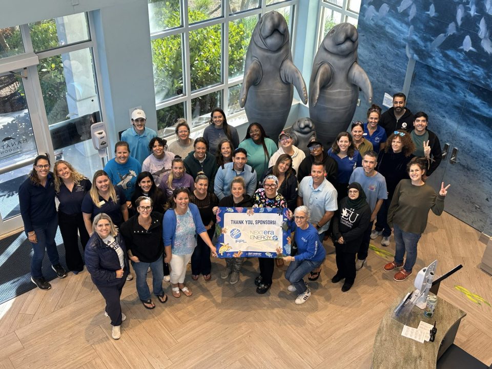 Guy Harvey Foundation and Florida Power & Light Company Celebrate Partnership Milestone