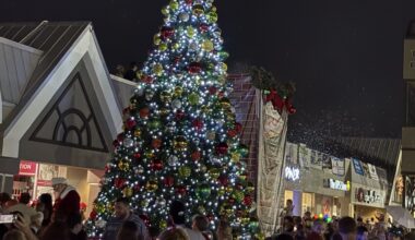 Festival of Lights marks decades of Cape Coral tradition