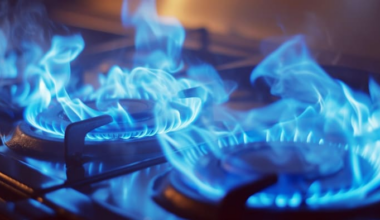 Orlando restaurant forced to shut doors due to hundreds of insects