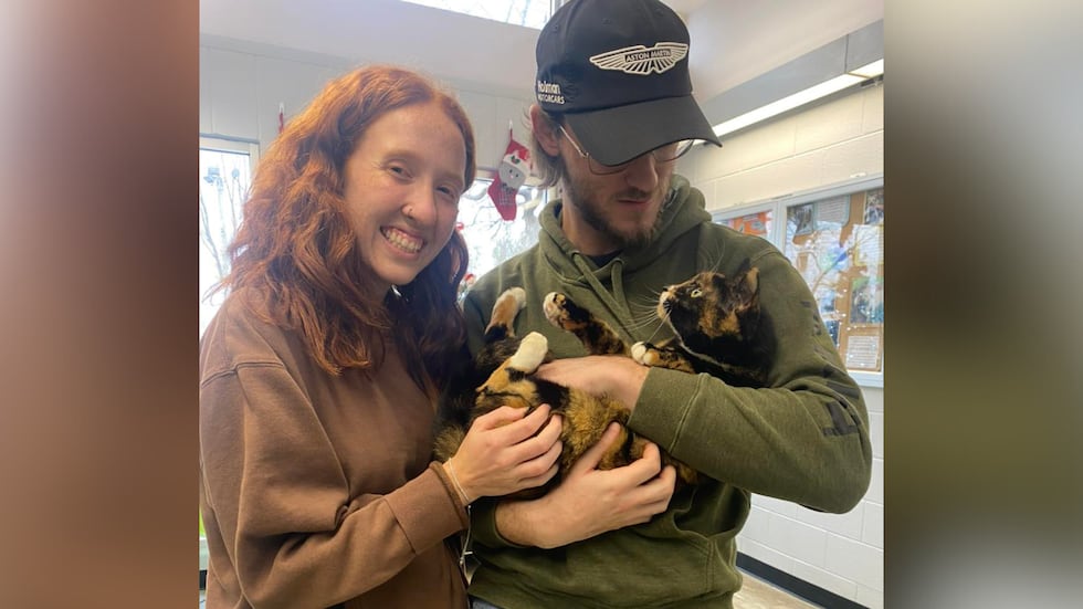 Mochi reunited with her owner.