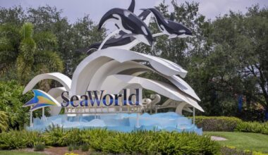 Katina, a 50-year-old killer whale, dies at SeaWorld Orlando