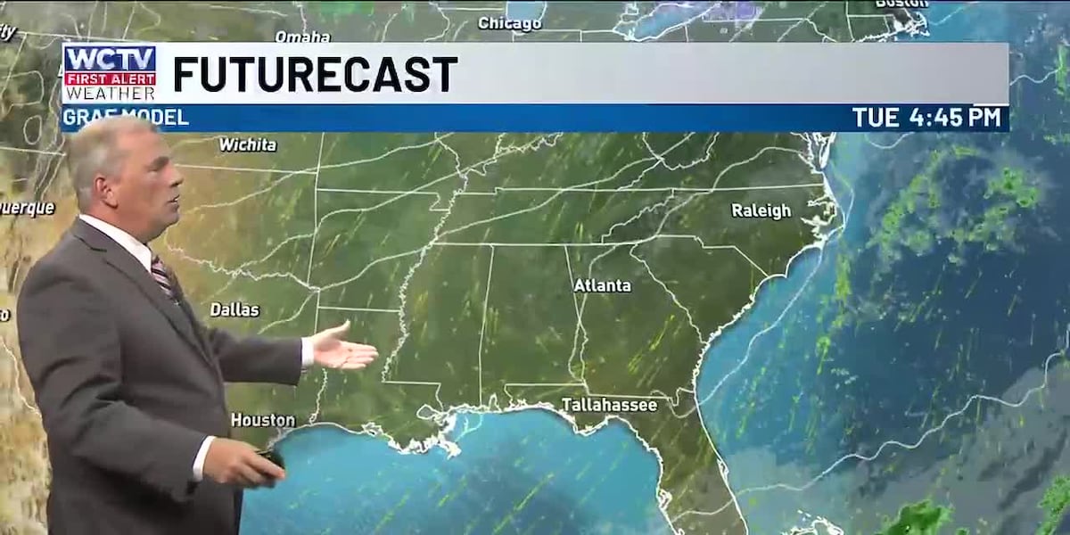 Sunshine set to return ☀️