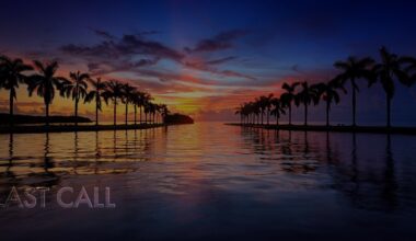 LAST CALL FEATURED IMAGE GRAPHICS (1)